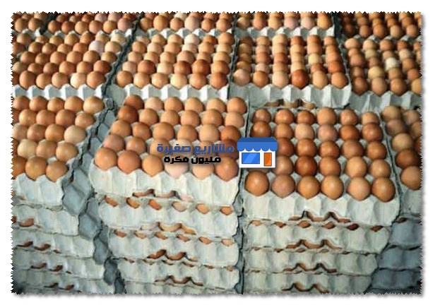 تكلفة مشروع توزيع البيض
